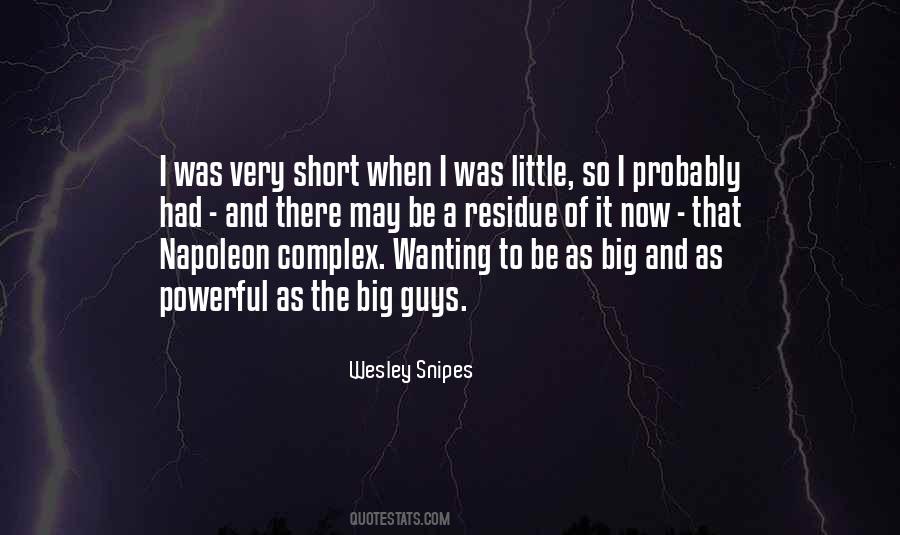 Wesley Snipes Quotes #245503