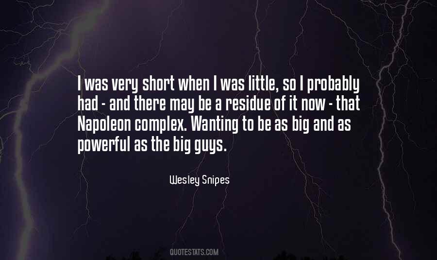 Wesley Snipes Quotes #245503