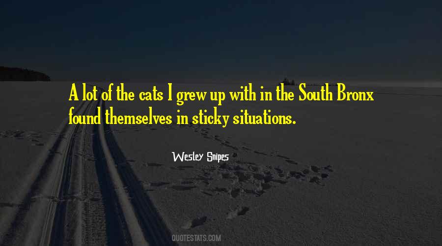 Wesley Snipes Quotes #701270