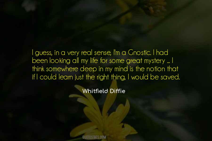 Whitfield Diffie Quotes #705480