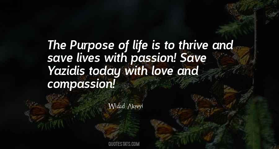Widad Akreyi Quotes #1579864