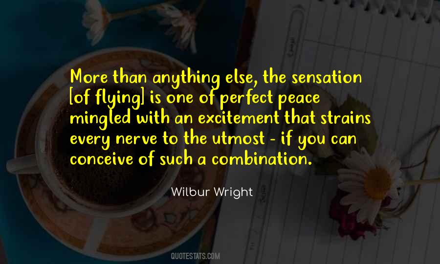 Wilbur Wright Quotes #1403776