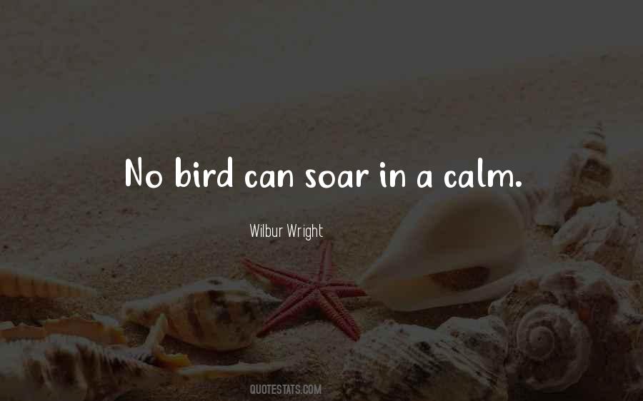 Wilbur Wright Quotes #1742197