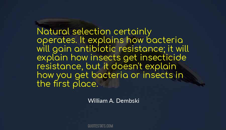 William A. Dembski Quotes #1255388