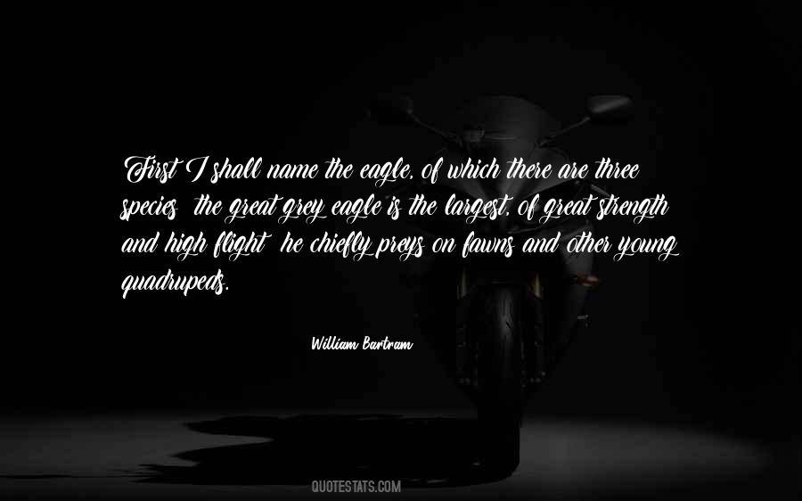 William Bartram Quotes #938571