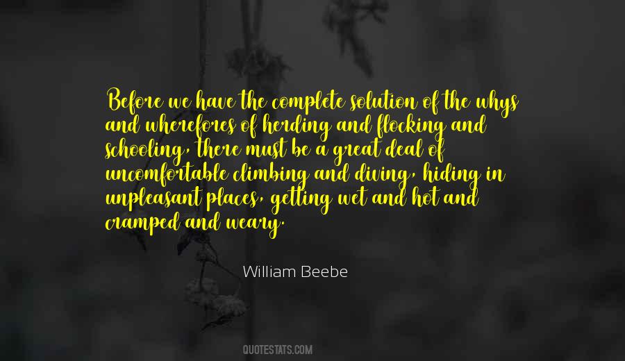 William Beebe Quotes #388676