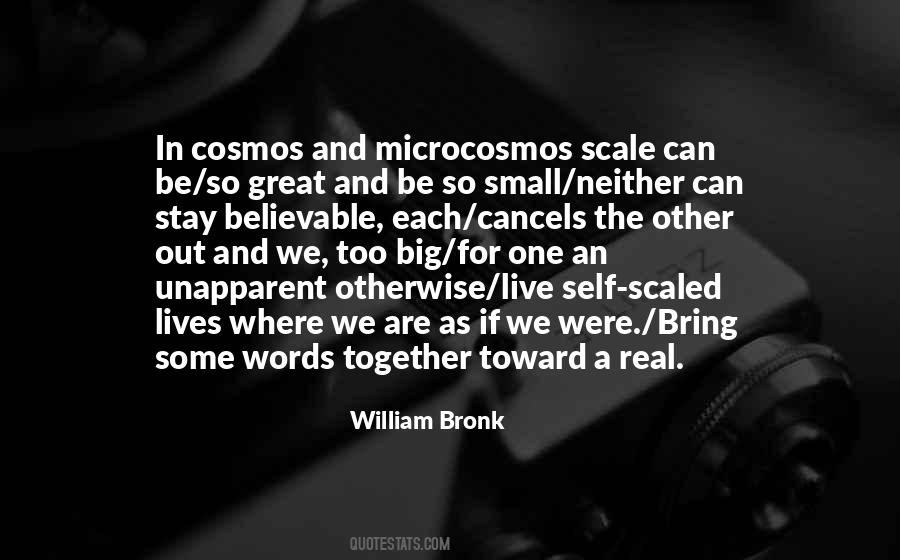 William Bronk Quotes #1634274