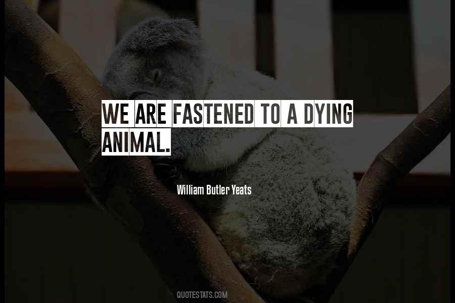 William Butler Yeats Quotes #386120