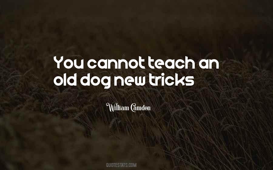 William Camden Quotes #929967