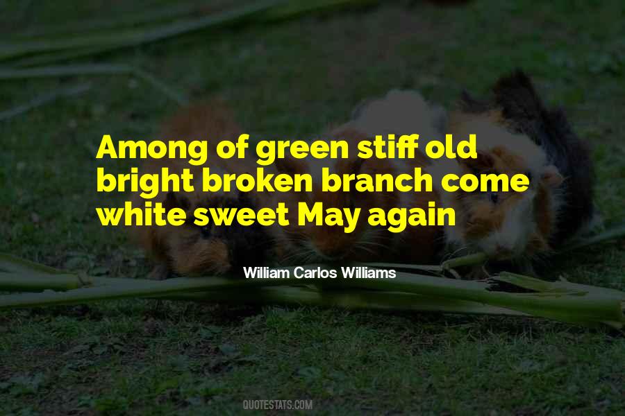 William Carlos Williams Quotes #165991
