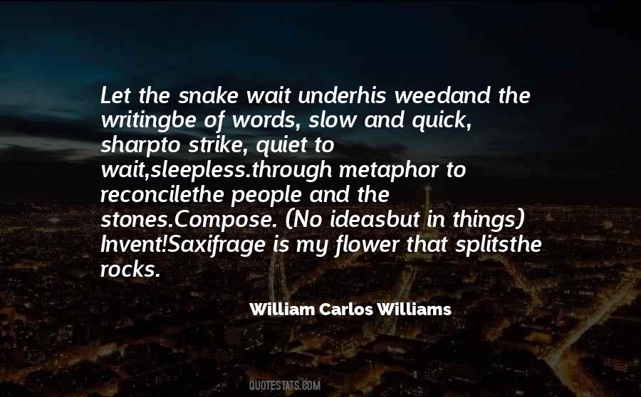 William Carlos Williams Quotes #401938