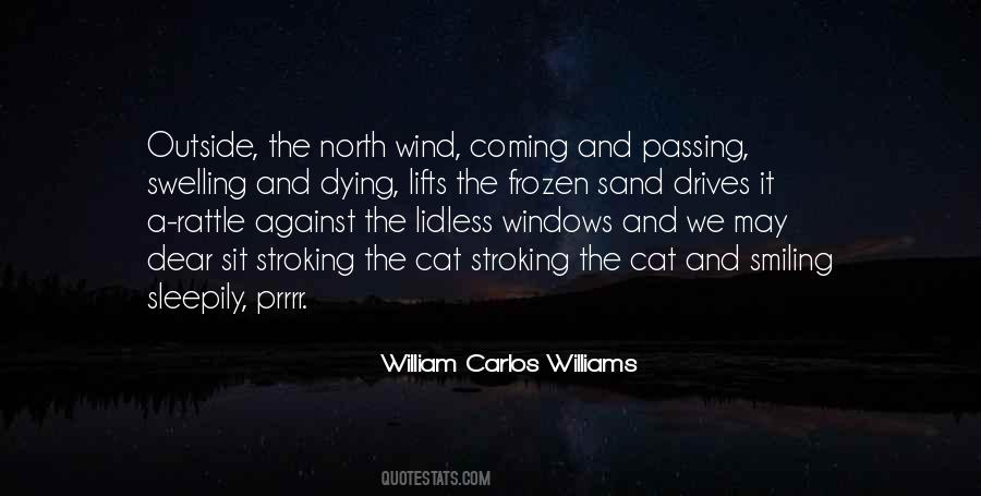 William Carlos Williams Quotes #513328