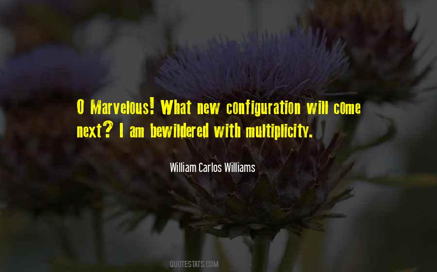William Carlos Williams Quotes #594935