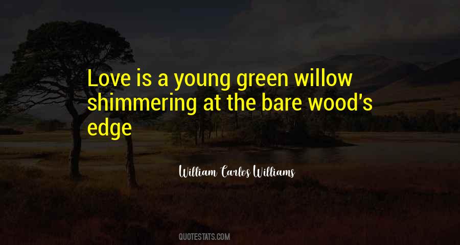 William Carlos Williams Quotes #633583