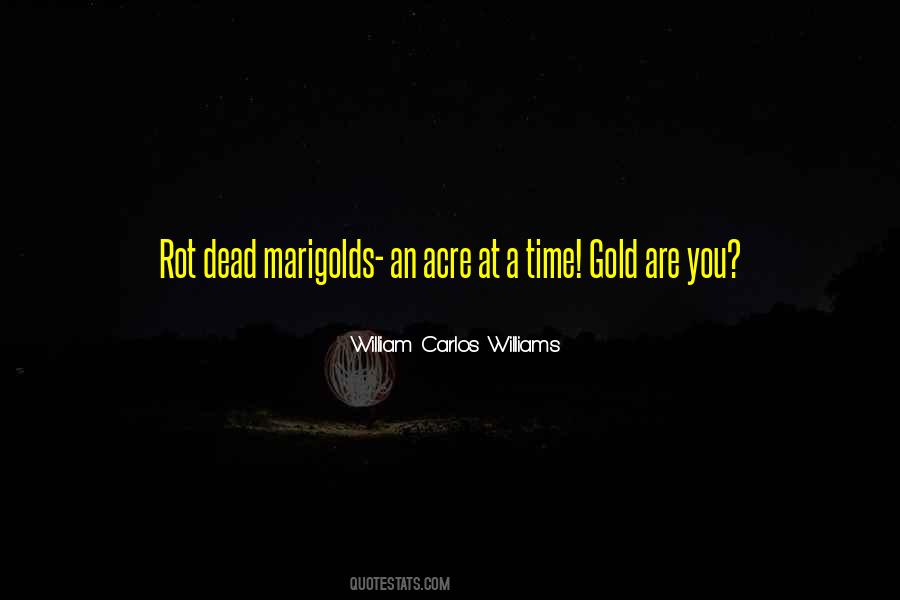 William Carlos Williams Quotes #658907