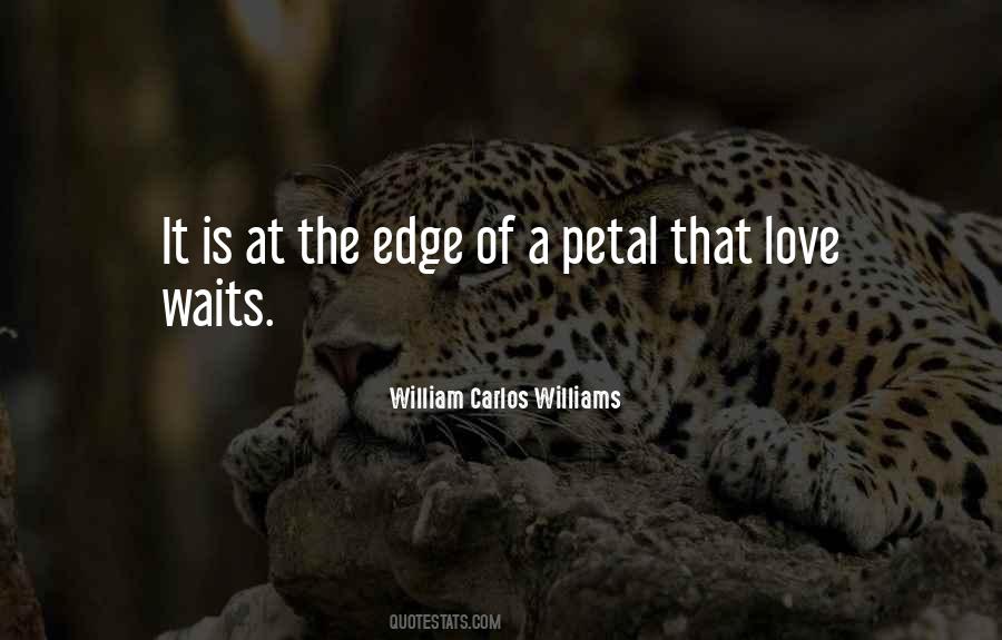 William Carlos Williams Quotes #758076