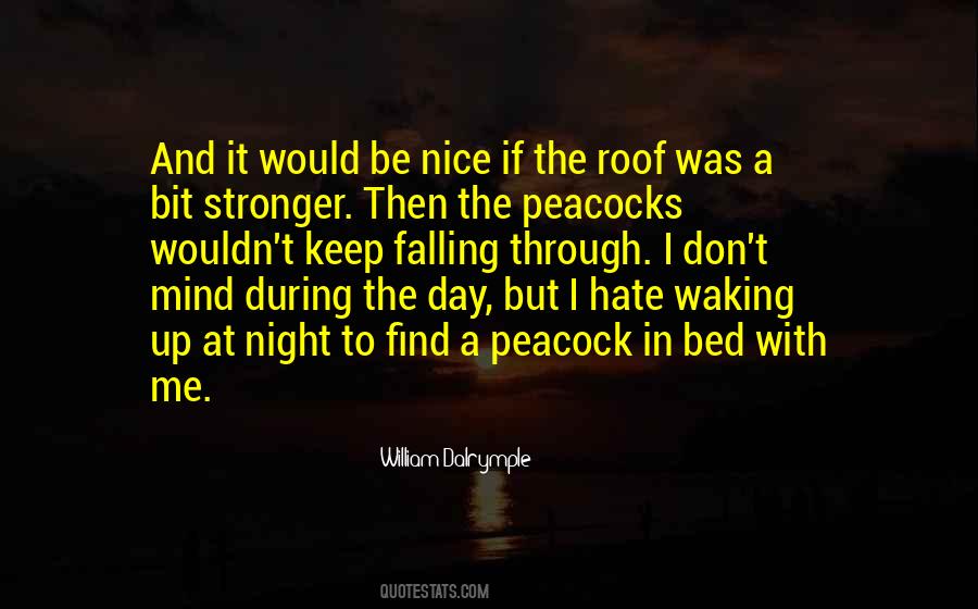 William Dalrymple Quotes #254767