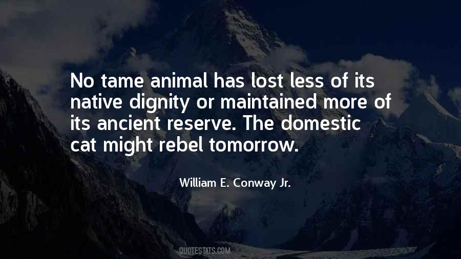 William E. Conway Jr. Quotes #581103