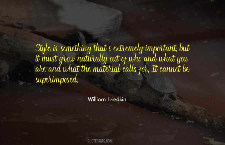 William Friedkin Quotes #69703