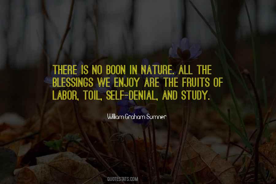 William Graham Sumner Quotes #470389