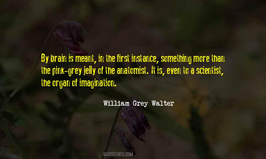 William Grey Walter Quotes #141436