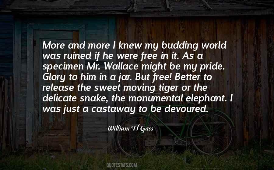 William H Gass Quotes #1809065