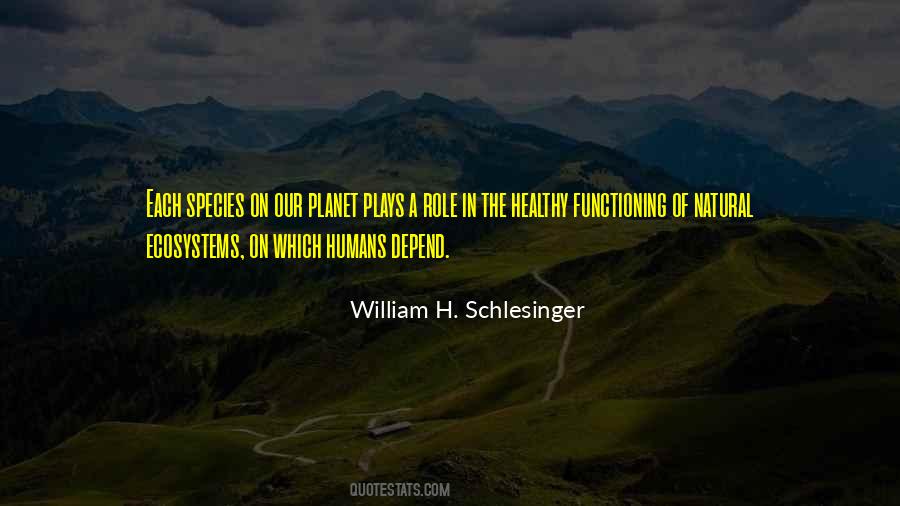 William H. Schlesinger Quotes #799125