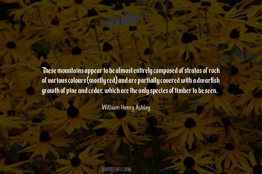 William Henry Ashley Quotes #1820012