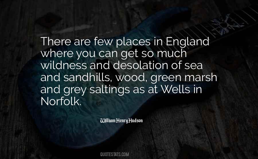William Henry Hudson Quotes #1604399 William Henry Hudson Quotes #1604399