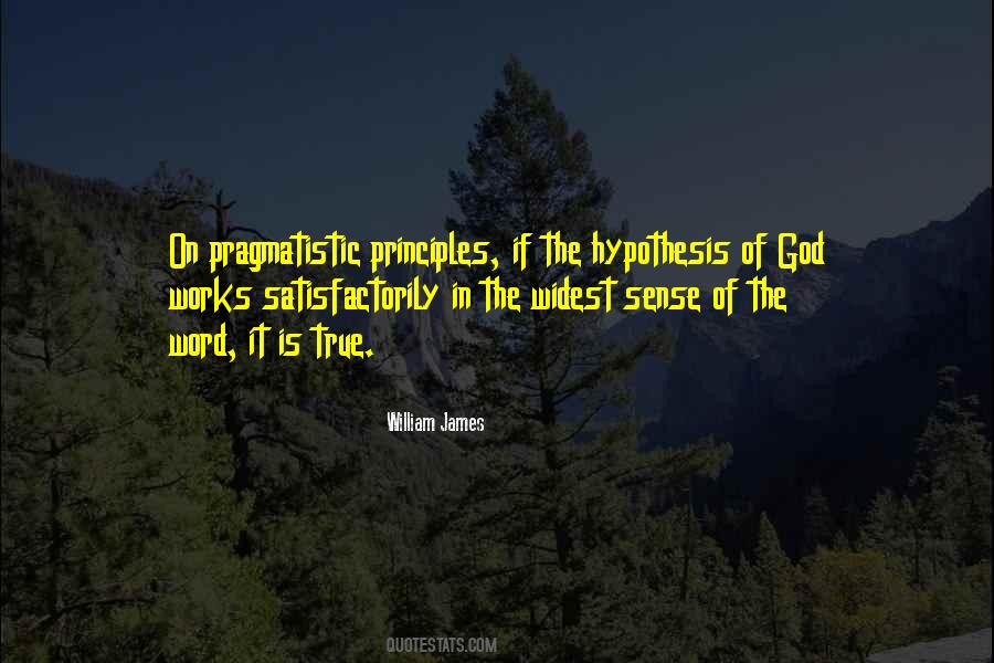William James Quotes #1793598