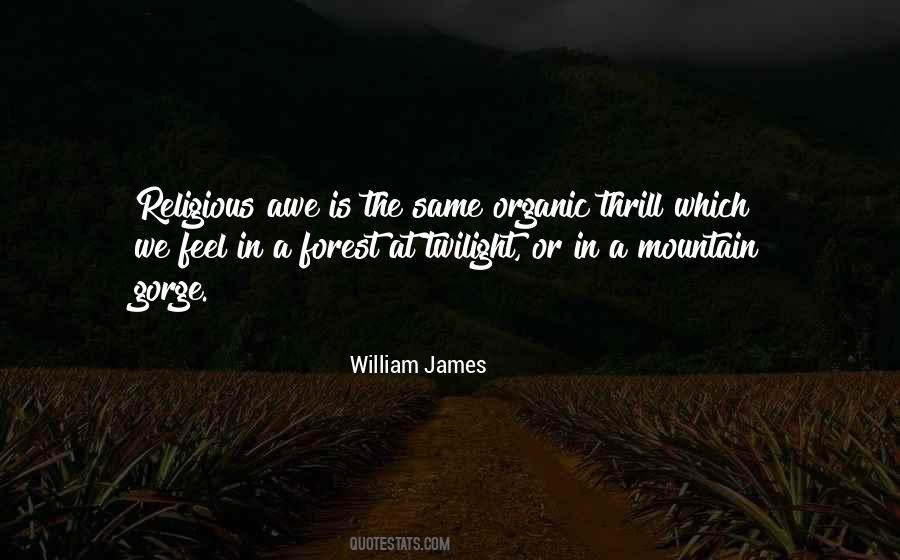 William James Quotes #367881