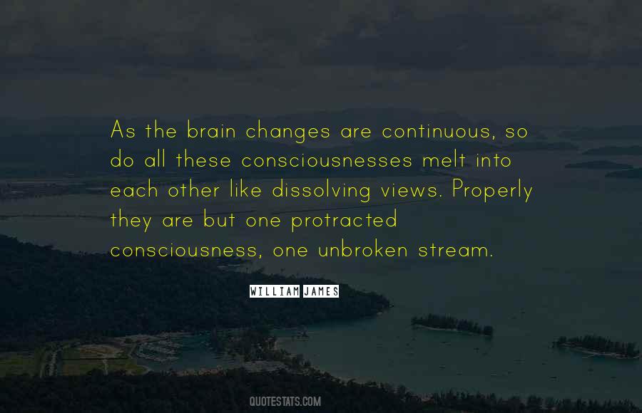 William James Quotes #890150