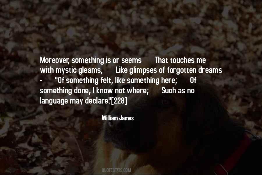 William James Quotes #941337