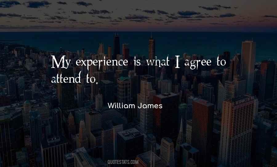 William James Quotes #994615