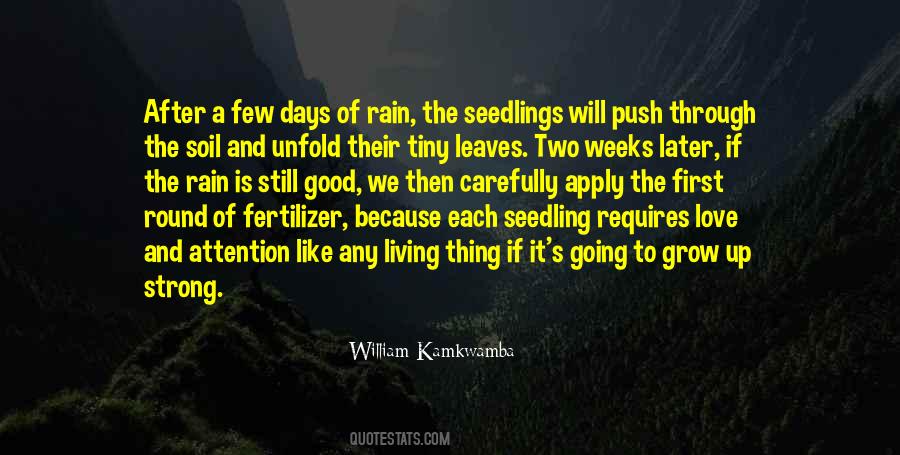 William Kamkwamba Quotes #1696908