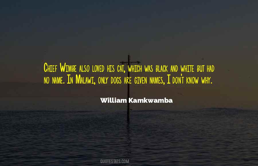 William Kamkwamba Quotes #276710