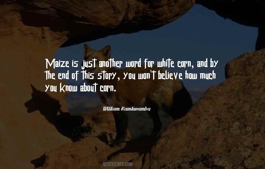 William Kamkwamba Quotes #736377