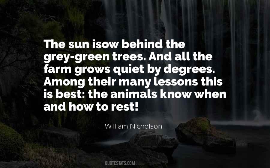 William Nicholson Quotes #943415