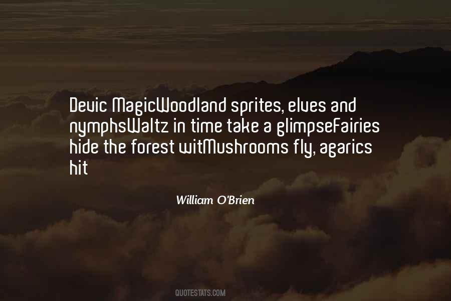 William O'Brien Quotes #774837