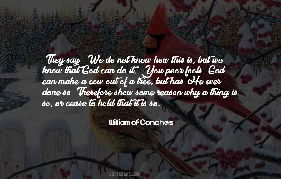 William Of Conches Quotes #705214