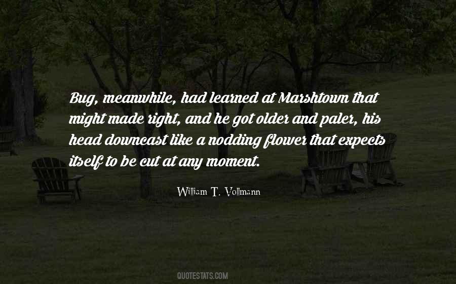 William T. Vollmann Quotes #915837