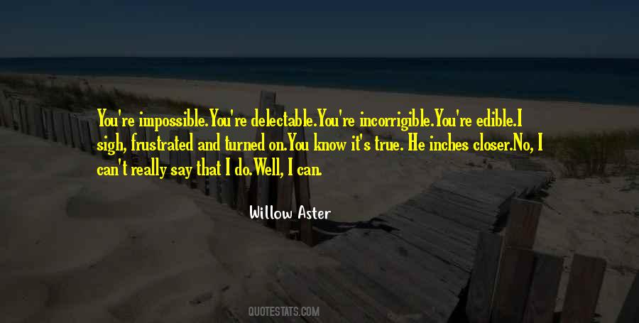 Willow Aster Quotes #1646597