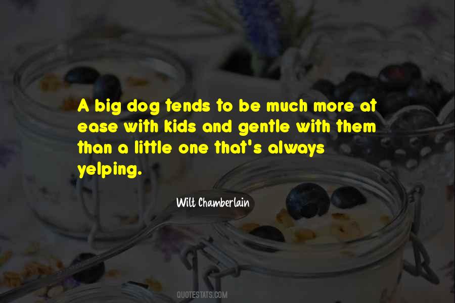 Wilt Chamberlain Quotes #936914