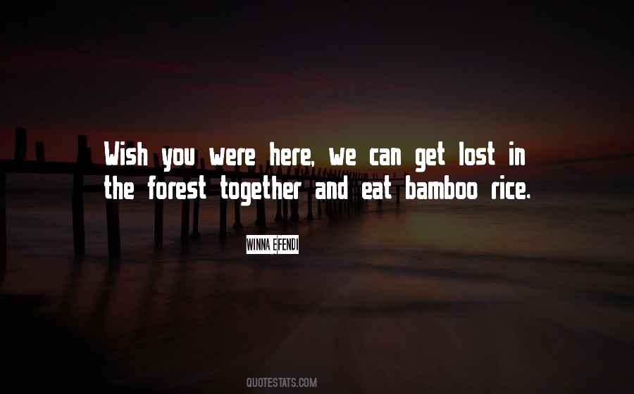 Winna Efendi Quotes #734204