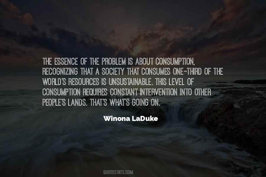 Winona LaDuke Quotes #245726