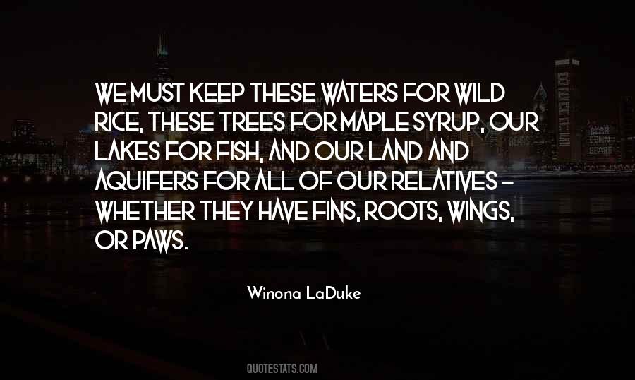 Winona LaDuke Quotes #718340