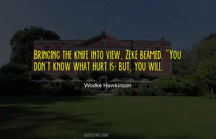Wodke Hawkinson Quotes #547592