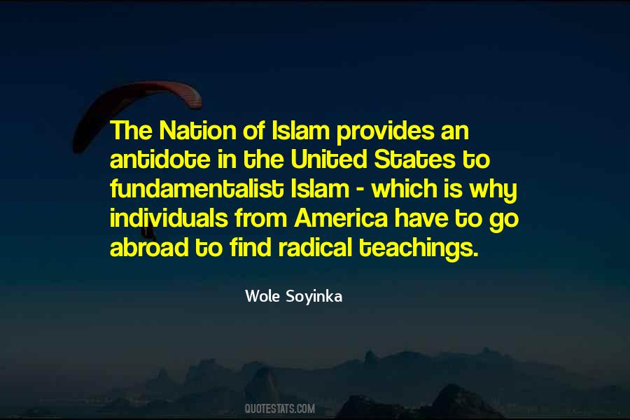Wole Soyinka Quotes #1753067