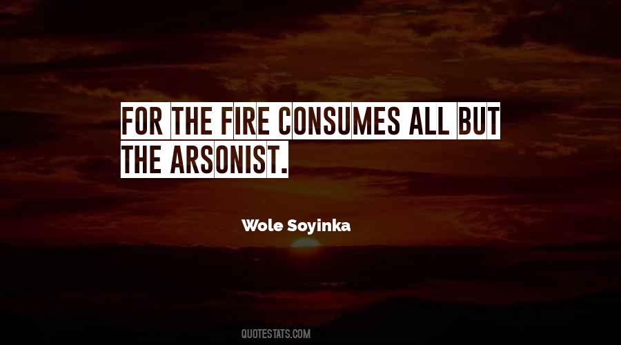 Wole Soyinka Quotes #977628