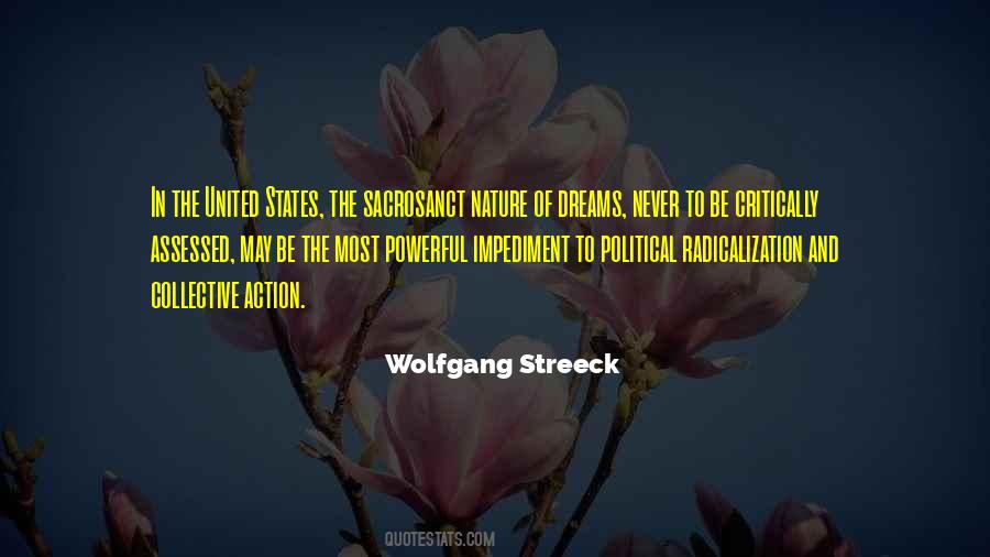 Wolfgang Streeck Quotes #858638